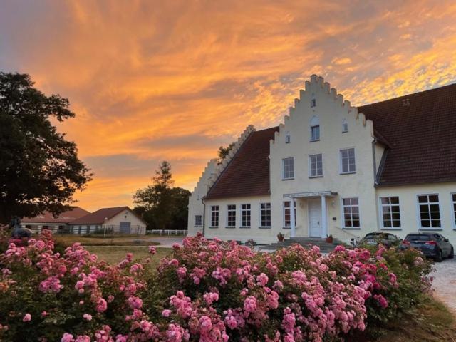 Boutiquehotel Gut Tribbevitz Auf Ruegen Neuenkirchen auf Rugen エクステリア 写真